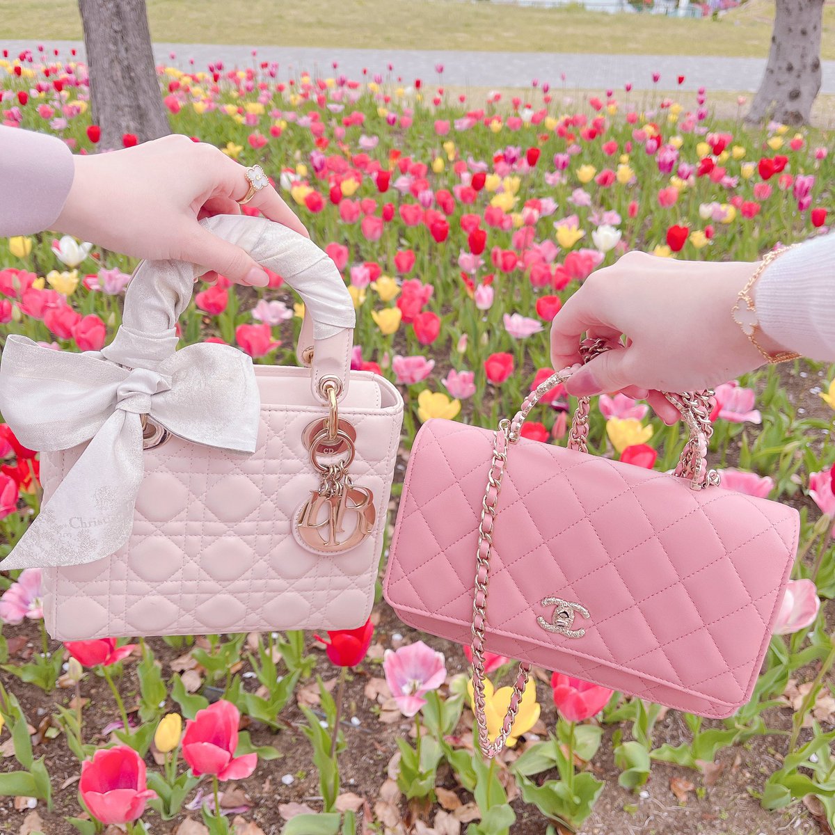 𝓑𝓵𝓸𝓸𝓶𝓲𝓷𝓰 🪡 ྀི tweet media