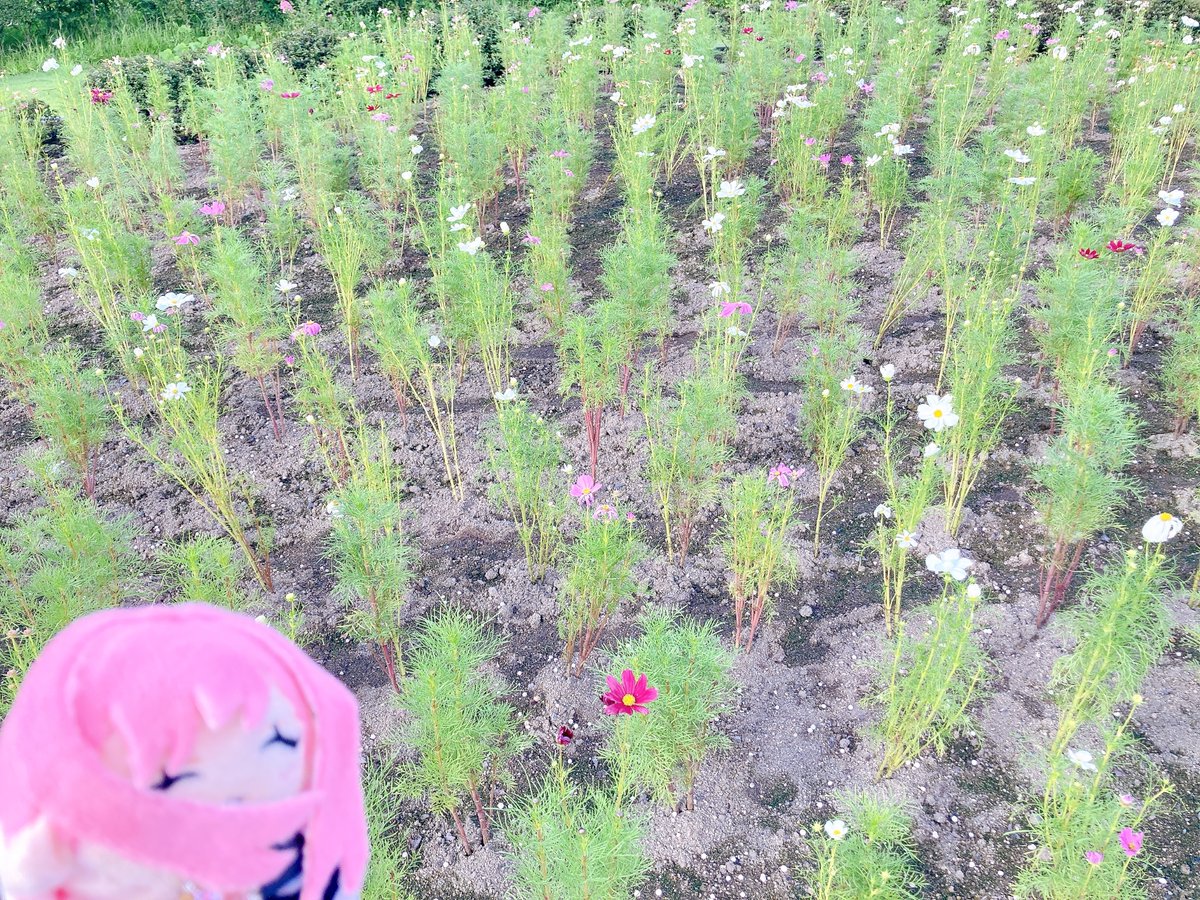 中村力斗＠100カノ21巻3/18発売 (@ziburikito) on Twitter photo 