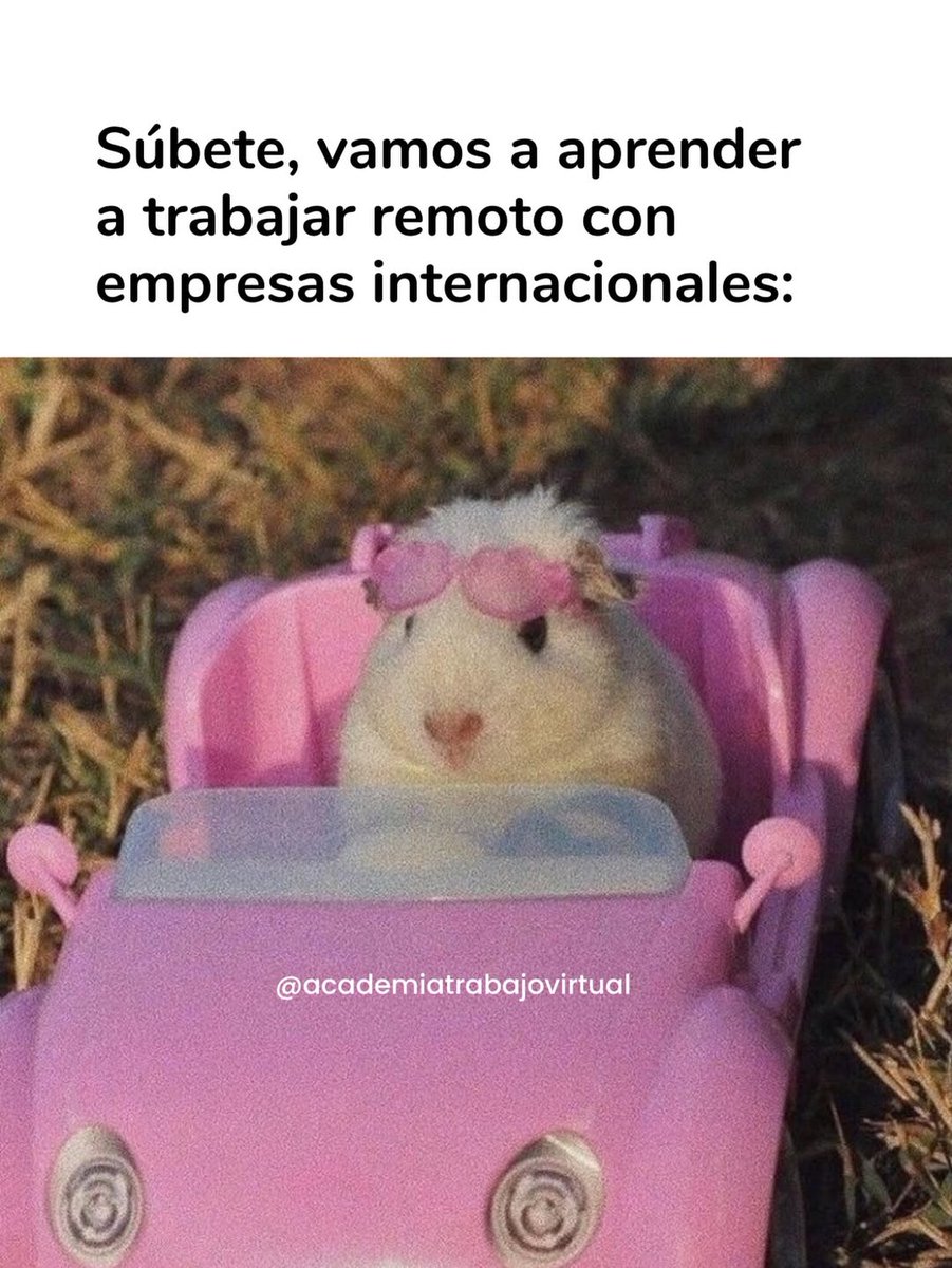 Johanna Juha | Academia de Trabajo Virtual tweet media