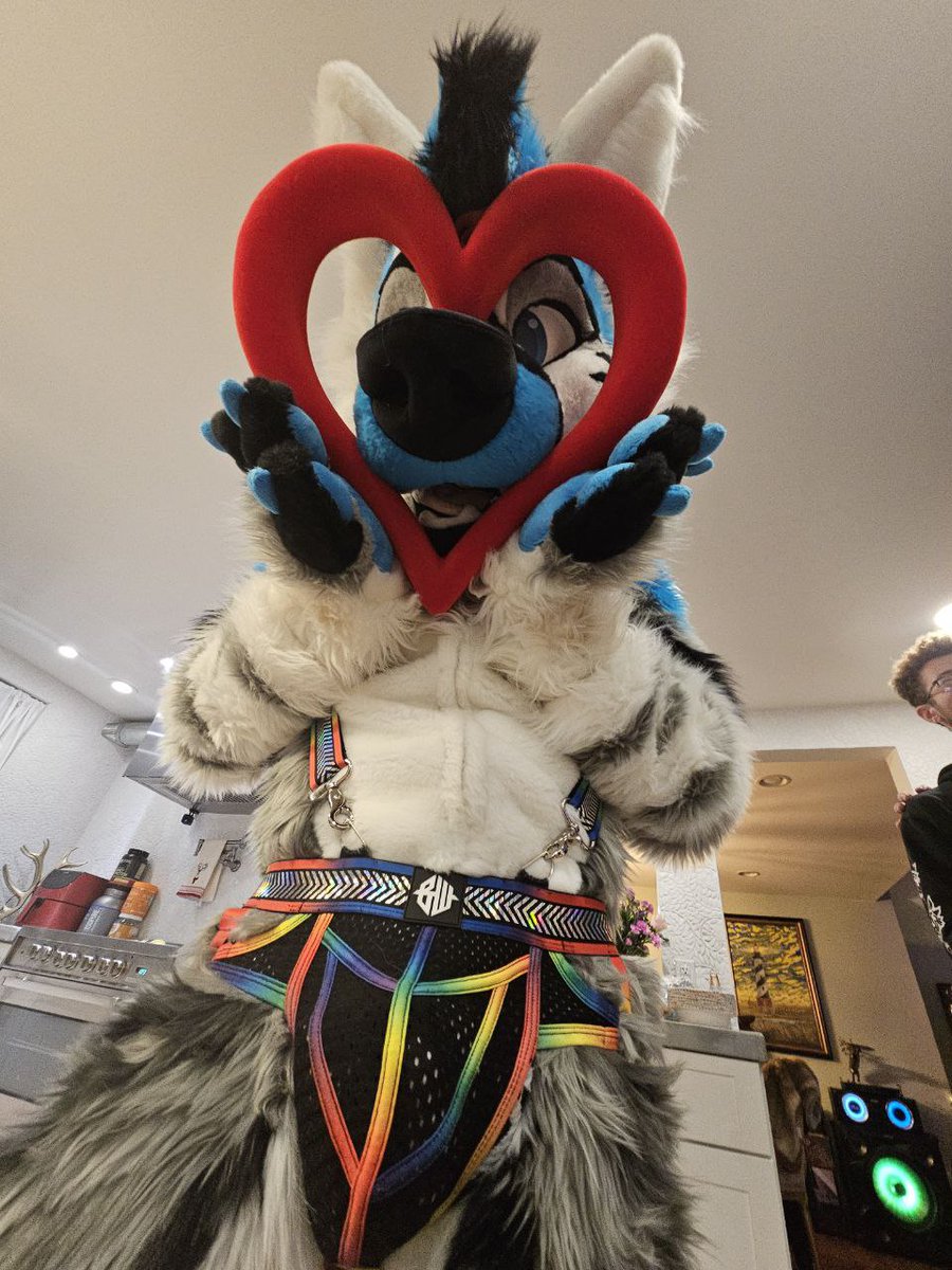 Daikyu Shep tweet media