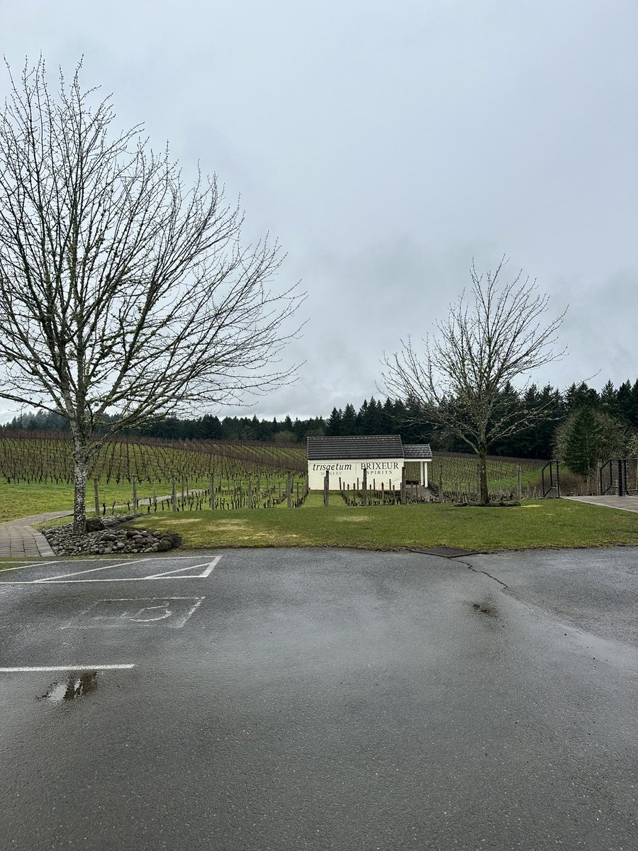 donnie adams tweet media