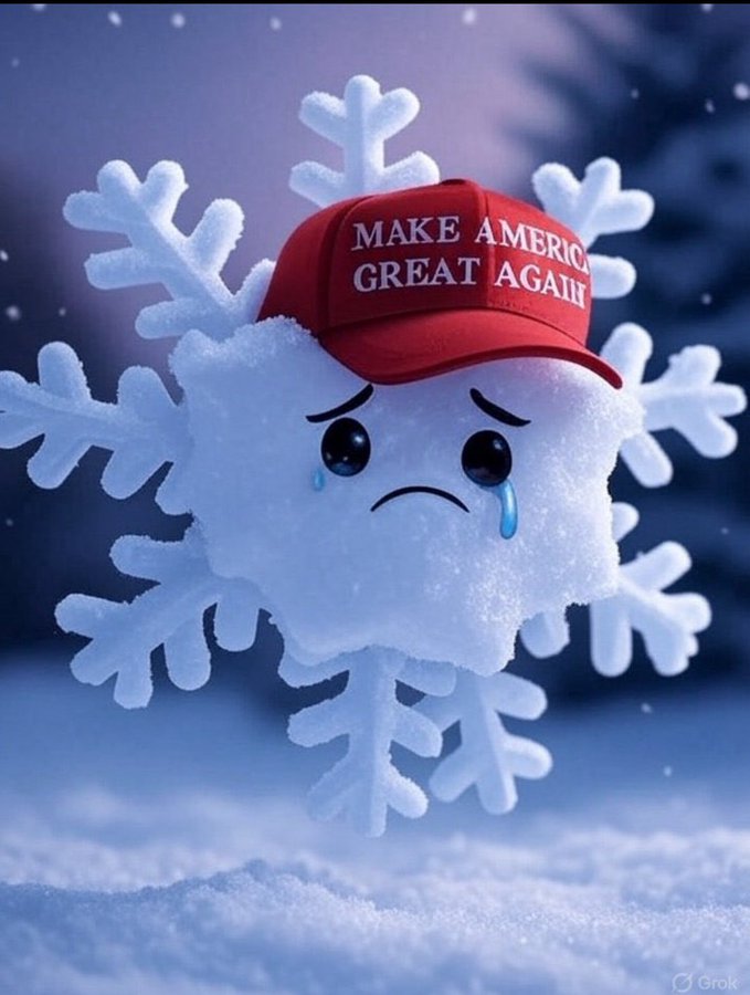 <a href="/travisakers/">Travis Akers 🇺🇸</a> Snowflakes