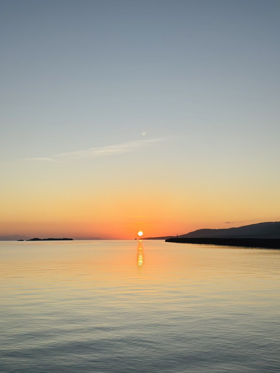 ☆momoko☆ tweet media