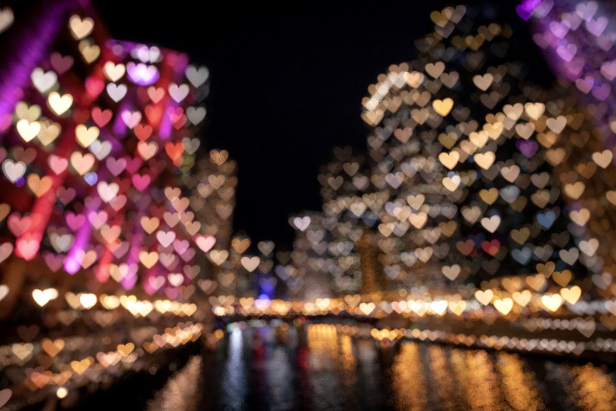 𝐿𝒾𝓈𝒶 𝐵𝑜𝓌𝓂𝒶𝓃 tweet media