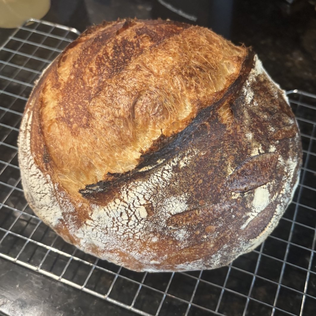 mini 🍯 tweet media