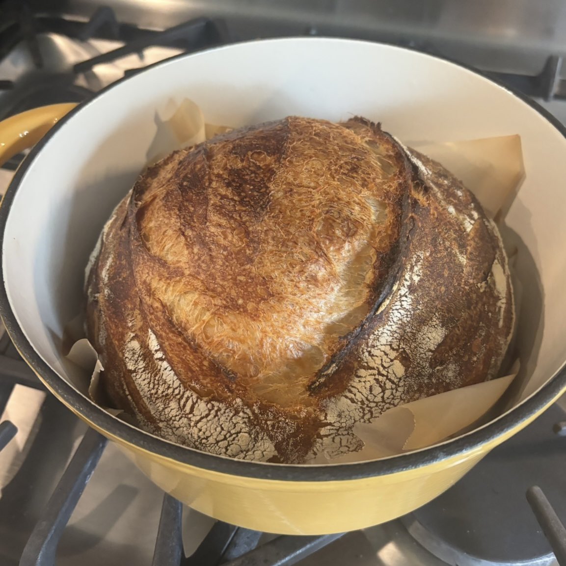 mini 🍯 tweet media