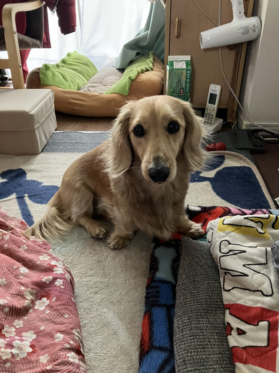 白黒たっぐ (@wbbook_luck) on Twitter photo 