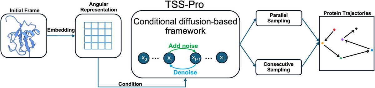 TaoGroupSMU's tweet photo. Check out our recent work on TSS-Pro for protein trajectory-space sampling. We’re now pushing into a challenging but exciting direction: using generative AI to sample molecular dynamics trajectory space. https://t.co/l6fQAWApHS https://t.co/Ll3Un8JplV