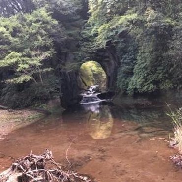 GomesPinhal's tweet image. よく読書を始める 🐥