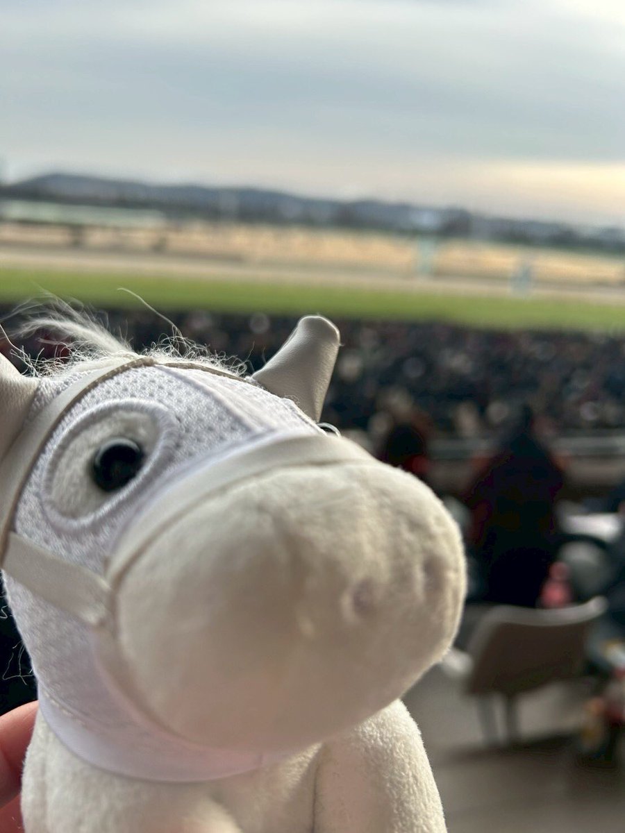 Miii19081089's tweet photo. 初東京競馬場！
指定席も取れてめちゃくちゃ楽しんだ🫶
マルガちゃん初見で観れてやっぱり可愛かったけどパドックであまり元気がなくて��し心配だったわ、、。
でも無事完走出来て良かったね✋
次のレースもまた応援しに行くね!!
お疲れ様☺️

#東京競馬場
#マルガ https://t.co/JKma1NwAkC