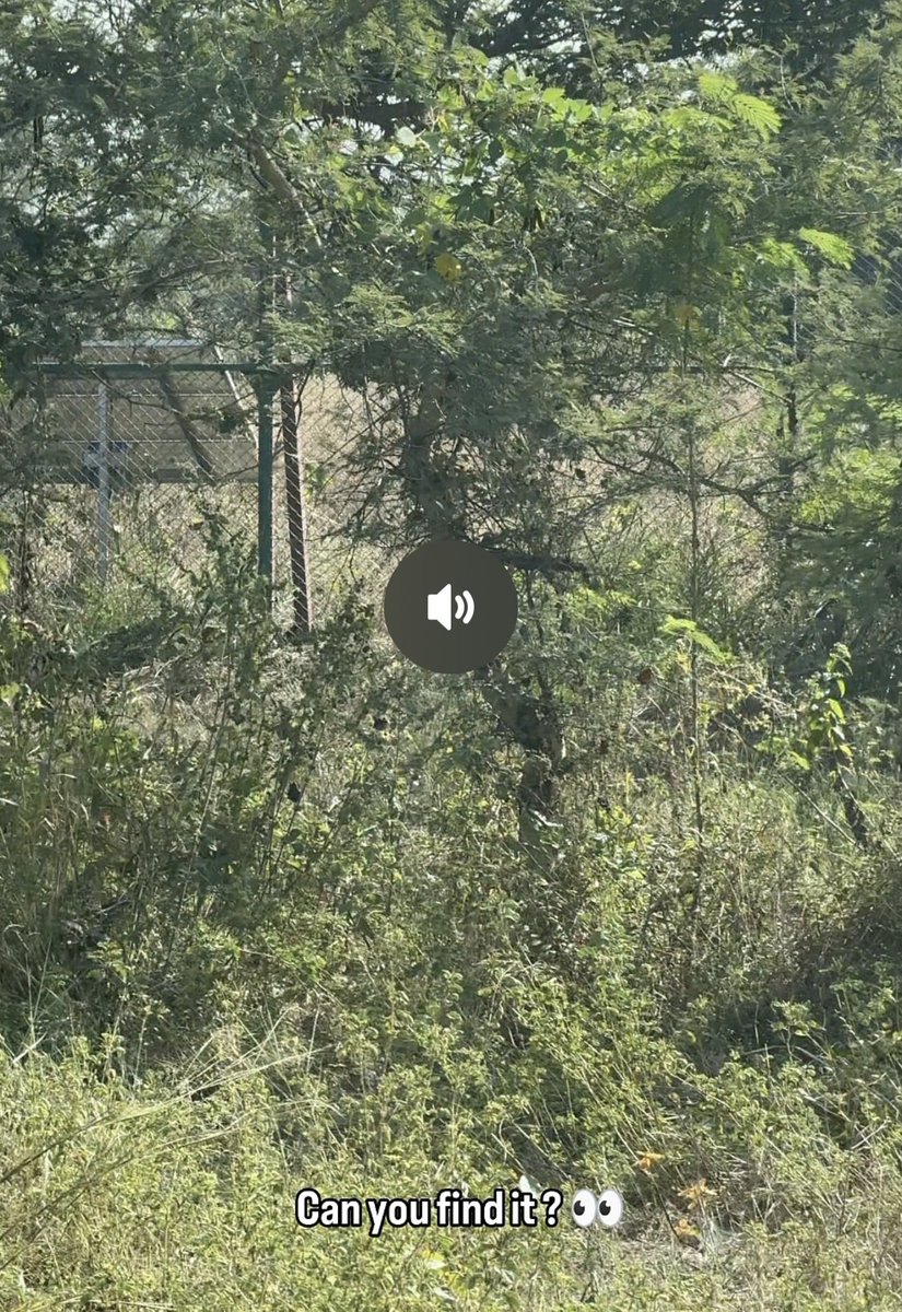 Derek Halpern tweet media