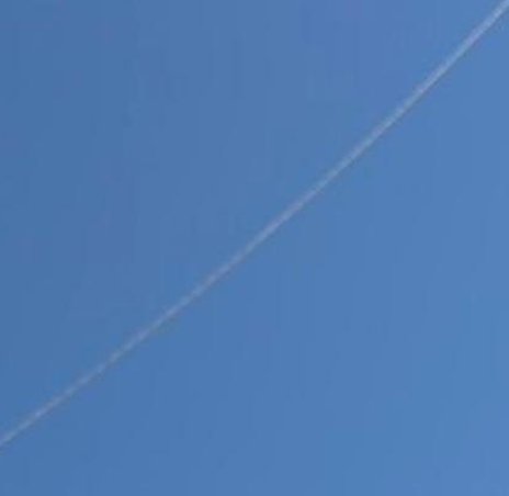 mindimerom's tweet image. まあまあ寂しいぞ 🏺