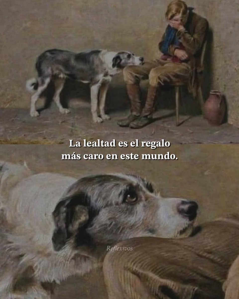 textosnublados's tweet image. 