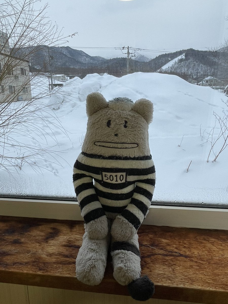 おはようございます