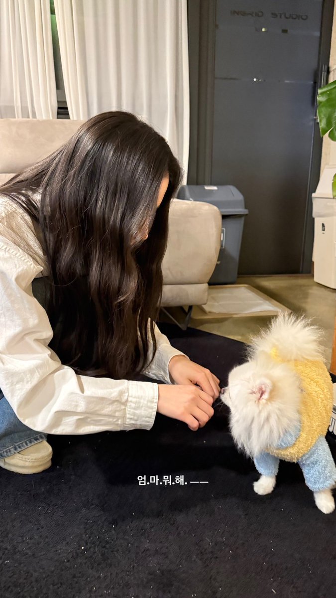 sse always killing two birds with one stone by getting them to take the valentines day photos when they were recording