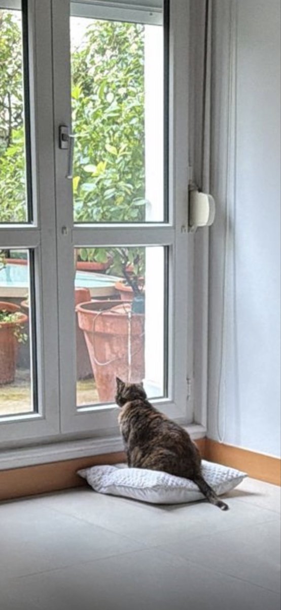 Dejará de llover?😾