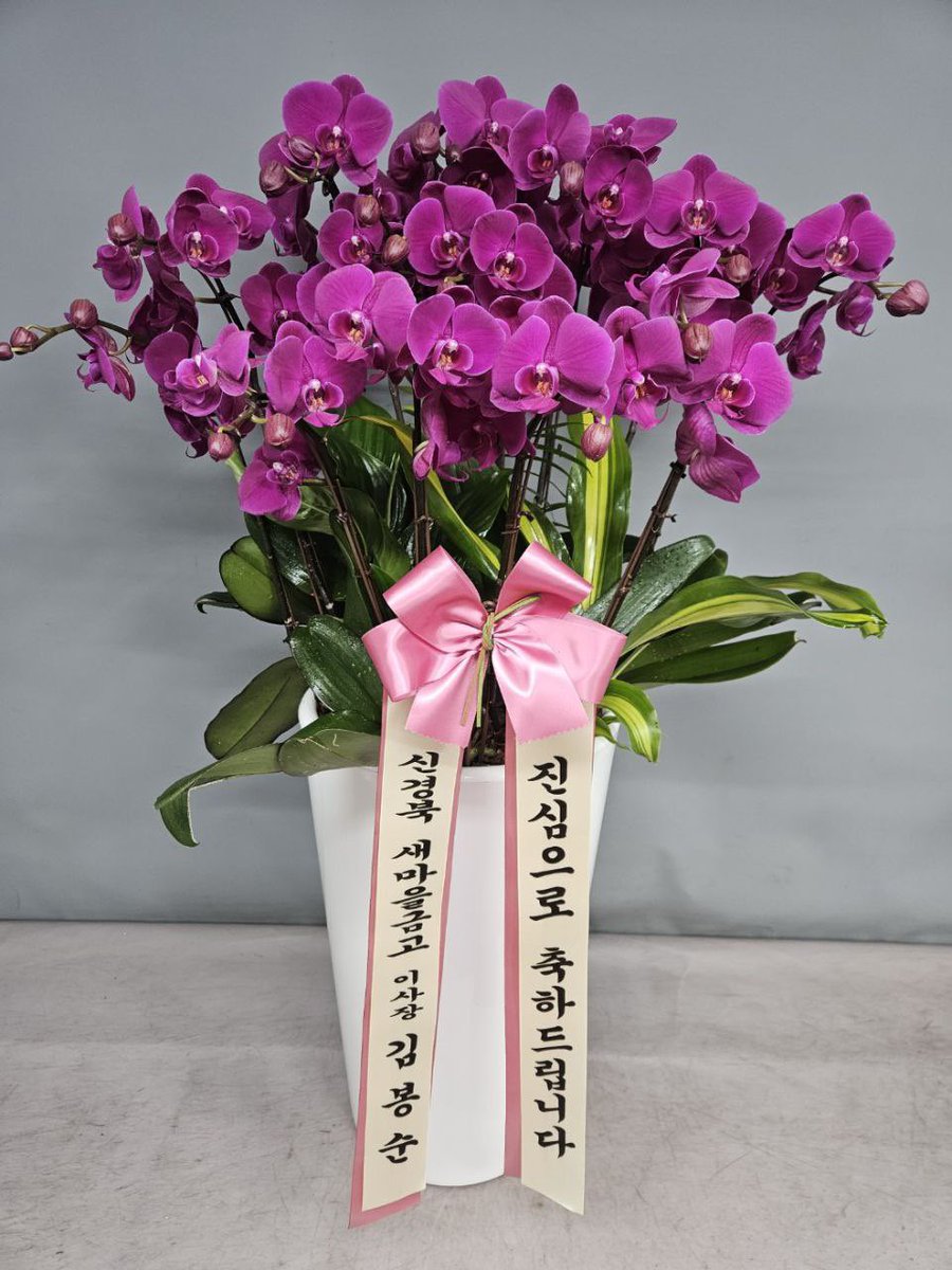 사건초기부터 서로 위로와 격려를 나누어왔던 박정훈 대령(현재 장군)의 어머님께서 무죄선고를 축하하는 난을 보내주셨습니다.
윤석열 정권의 탄압 속에서 서로 버텨내야 했던 시간의 무게를 누구보다 잘 알고 있습니다.
감사합니다.