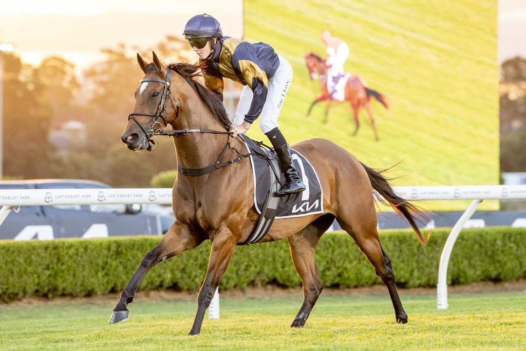 "She became the Queen of the stable and a pleasure to have around."

Jack Pilkington would like nothing more than for Pretty Tavi to have the perfect send off with a win at her final race start at Kembla Grange on Tuesday. 📸 <a href="/Bradley_Photos/">Bradley Photos</a> 

STORY: tinyurl.com/2cymbecy