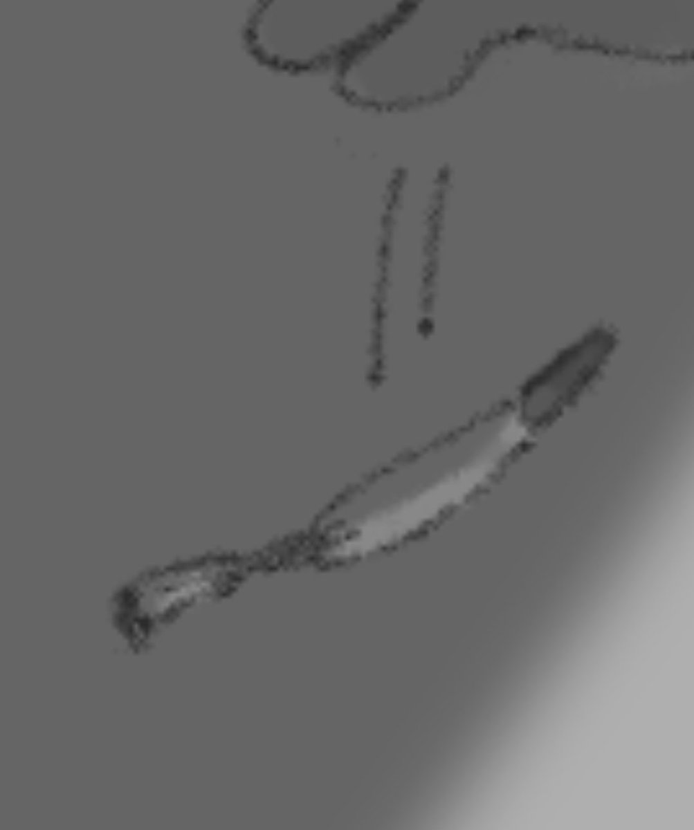 burg*rp*nts rolls the worst joint ever, asked to leave the armpit sex fandom