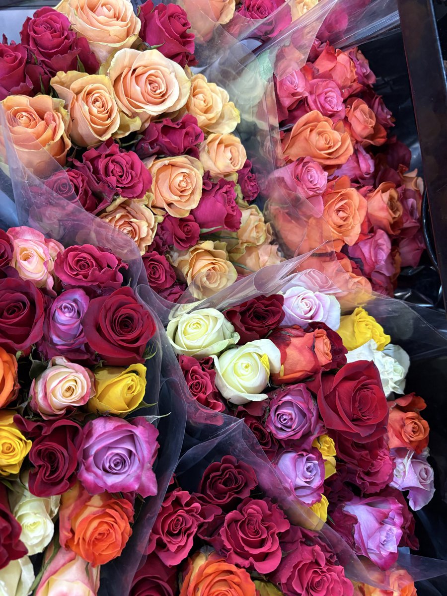 SupSportsChris's tweet photo. @KayleeDiMarco Happy VD K
Wishing you a beautiful day like meπ₯΄π
Whatever you do
Please donβt lose that π
#SirMix-A-Lot https://t.co/TTWhSUdVBK