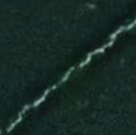 adelmo8's tweet image. 体はいいです 🦎