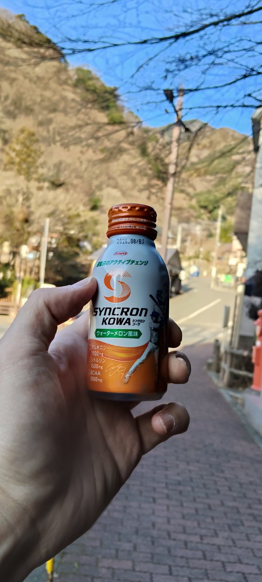 がんばります(  ＾∀＾)