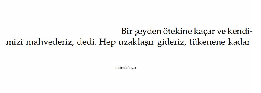 Thomas Bernhard, Bitik Adam