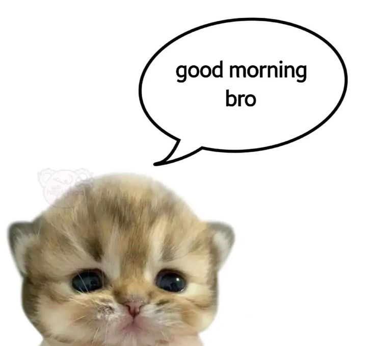 instagram.com/if.huogiag?igs…
link ig cho vợ nào hỏi