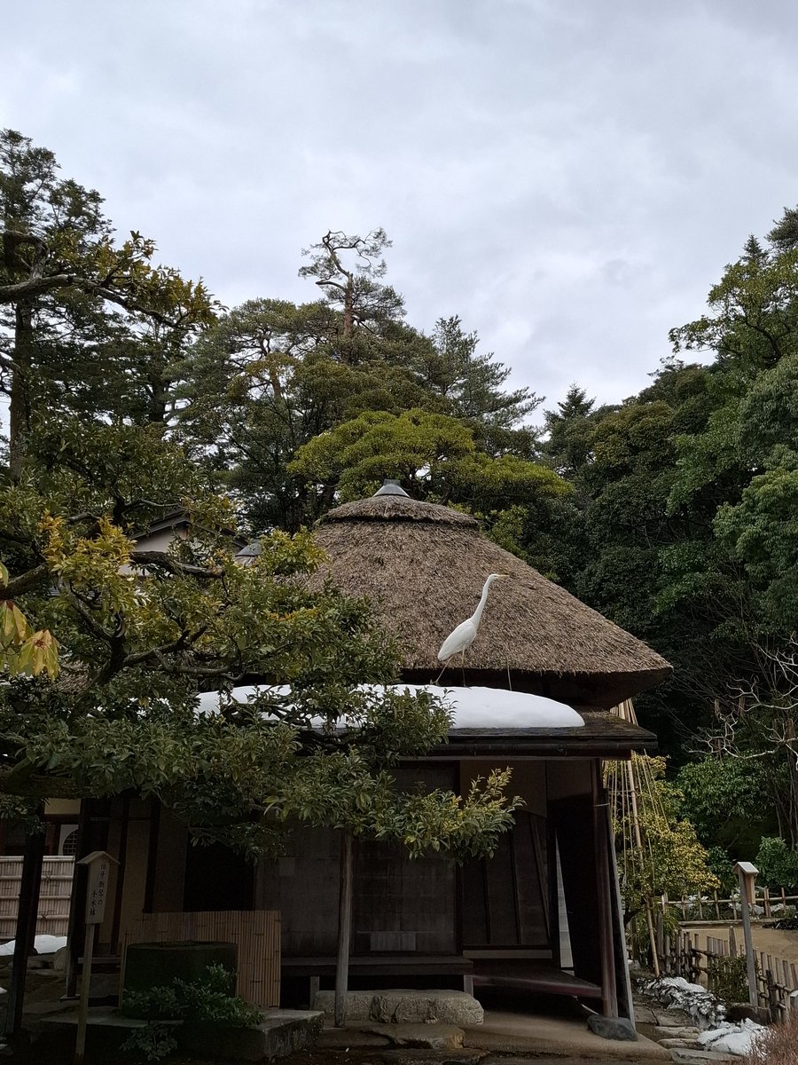 霜月 要👍❤ tweet media