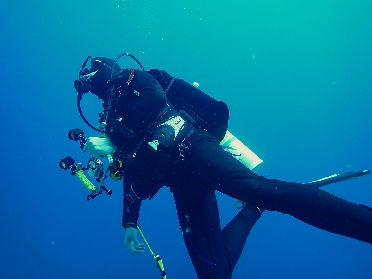 Nikdy neříkejte "TO SE MNĚ NEMŮŽE STÁT" protože může! 🤷
❗fakt 1️⃣ mořská nemoc vás může dostihnout i pod vodou
❗fakt 2️⃣ ublinknout si můžete i 26 metrů pod hladinou
❗fakt 3️⃣ rybičkám se to líbí
❗fakt 4️⃣ už nikdy nebudu moci říci "TO SE MNĚ NEMŮŽE STÁT 🤷