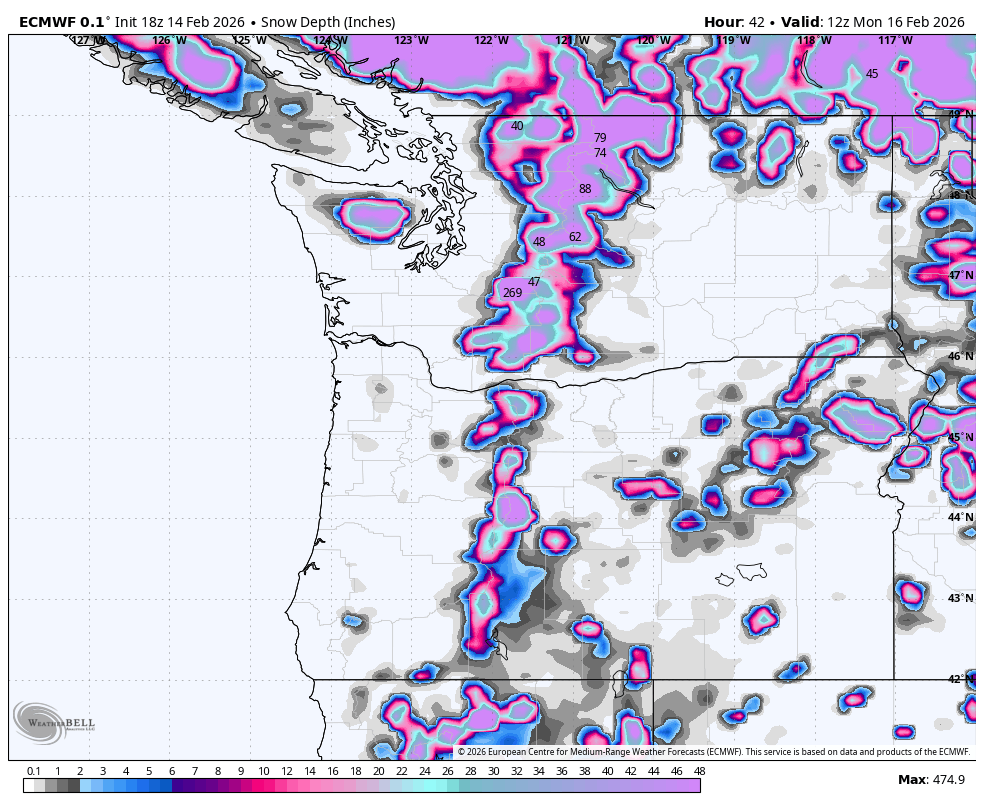Michael Snyder tweet media