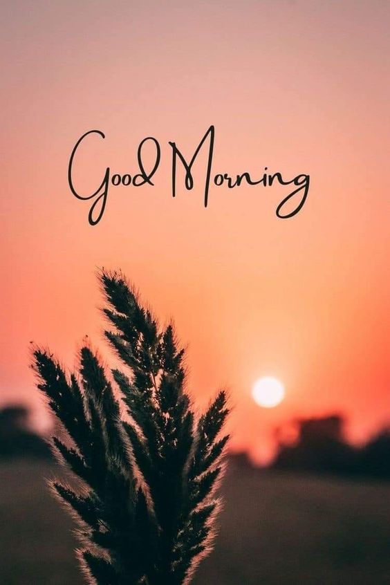 Morning everyone!🌞 Just a reminder that you’re doing great and you’ve got this. 
If you’re new here, click follow so we can engage and build together. 
Grateful for all of you on my feed! . 🙏🏻❤