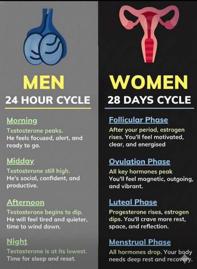 Men 24 hour cycle Vs Women cycle