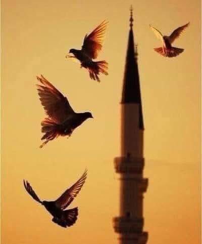 Mirat07's tweet photo. Sübhaneke duasının önemi!!

Hz Allah,Arşı yaratınca meleklere taşımasını söyledi. Meleklere Arş ağır geldi, Onlarda şöyle duâ ettiler.

Subhane-kellâhümme Ve Bihamdik 
Allah'ım Seni Tesbih ve Tenzih Eder, Sana Hamd Ederiz.

Ve Tebara Kesmük 
İsmin Mübarektir 

Ve Tealâ Ceddük 
Azamet ve Celalin Yüksektir 

Va Lâ Îlâhe Ğayruk 
Vee Sen'den Başka Tapınacak Yoktur. Dediler ve arşı taşımaya kuvvet buldular. 

Evet namaz duâlarının ilki olan subhâneke duası, tekbirden sonra okuduğumuz ilk duâ. Peki her hayrın başı olan Besmeleden bile önce okunması ne demek bilir miyiz?

Namaz ağırdır...
Onu taşıyabilmek için,  Bizlerde namazımıza başlamadan önce okumuş olduğumuz Sübhaneke duasıyla; Nefis ve Şeytanın, üzerimize serpmiş olduğu ölü toprağını. Bütün güç ve iradenin yalnızca kendisinde toplanmış olduğu o yüce makamdan, Bu duanın hürmetine kaldırmasını talep ediyoruz. Dilimiz ile söylemesekte, halimizle o makama şöyle sesleniyoruz ;

“Ya Rab, arşı taşıyan meleklerinin, bu dua hürmetine üzerindeki yüklerini nasıl hafiflettiysen. Bizimde üzerimizdeki yükleri öyle hafiflet. İbadetimizden feyiz almamızı kolaylaştır.” Diyerek o kutsiyet ötesi makamdan yardım talep ediyoruz.