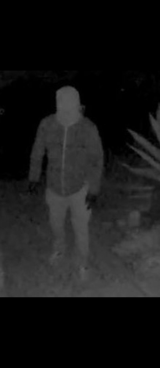 We The People tweet media