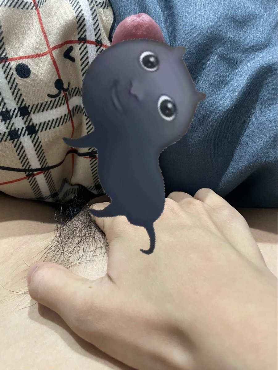 heimou2006's tweet photo. 有没有骚逼自己坐上来 https://t.co/uVyTd46Fh5