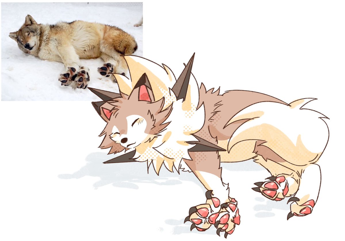 세타 セタ (@seta629211) on Twitter photo 