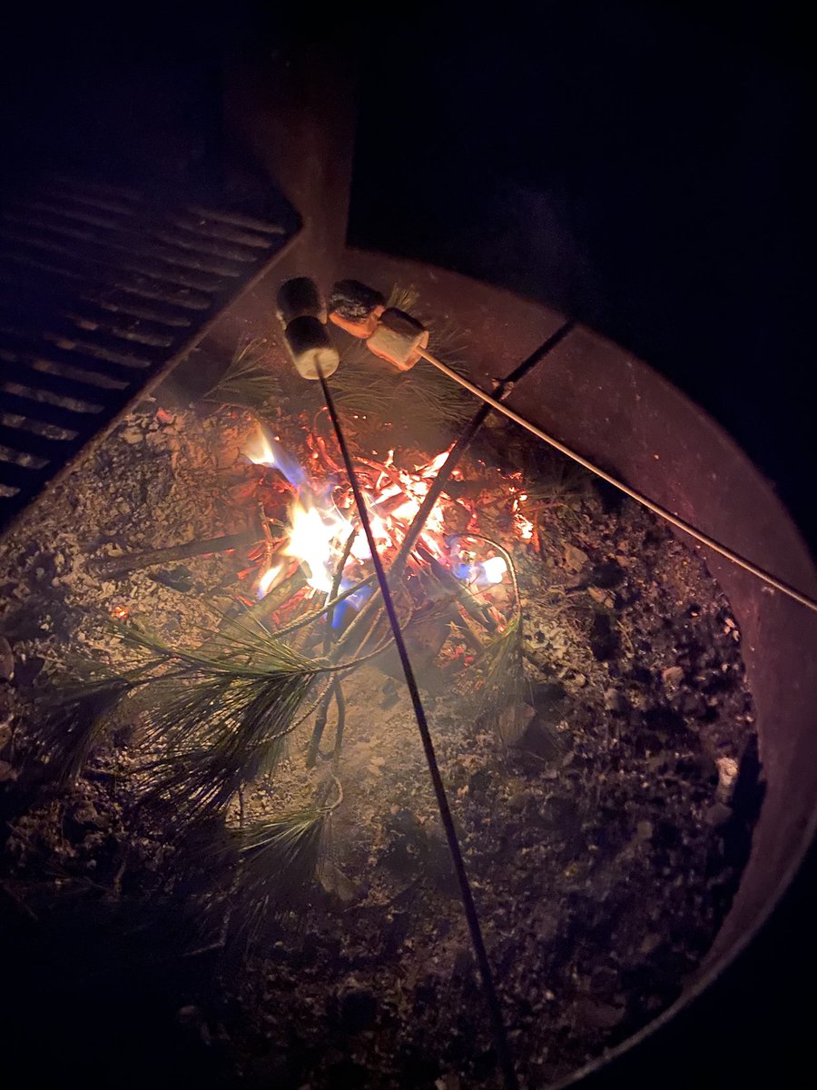 certified unc tweet media