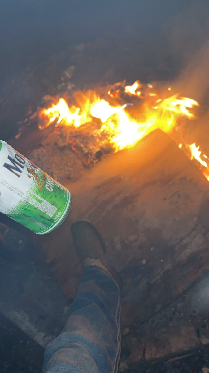 KING JESS tweet media