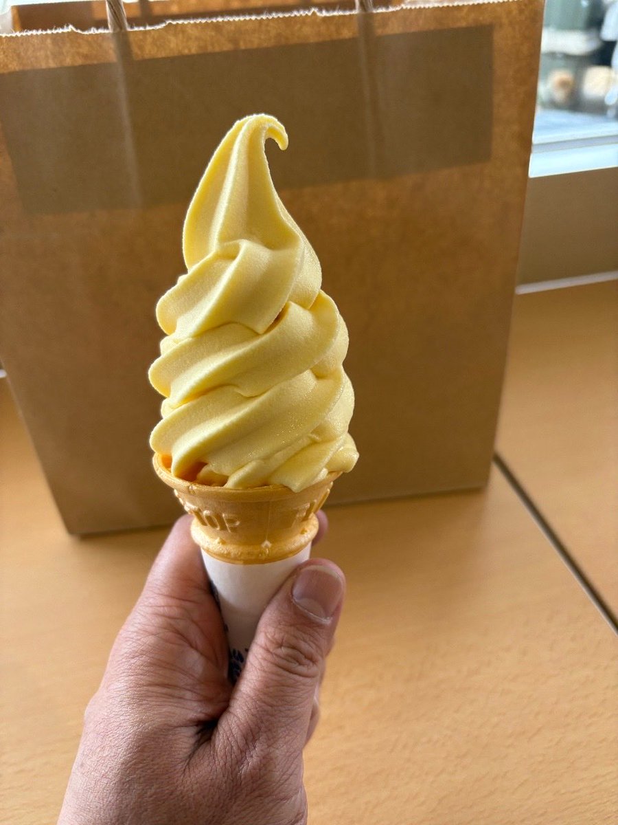 リードの慣らし。
新しく出来た海南〜有田川を抜けるトンネルを通って有田川沿いを走り42号線を北上して道の駅サクアスへ。
ミカンソフト食って帰ってきた。
50kmほどの距離やけど、まあまあ走った感のあるルートやったんでショートルートとして今後も走りそう😊