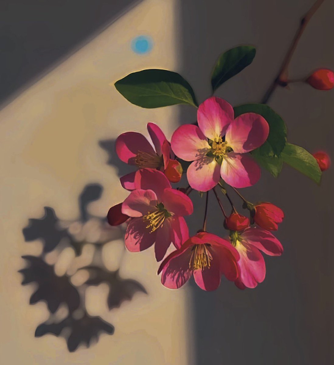 आखिरी बार हो, विध्वंसक प्रहार हो..। परिणाम तेरे वश में हैं,बस तुझे स्वीकार हो। तेज तेरी सूर्य सी, न इसमें कोई विकार हो..। इस बार के युद्ध में इस पार हो‌ या उस पार हो‌ ...।

❤️‍🔥❤️‍🔥🔥🔥🔥⚡⚡

#GoodMorningEveryone