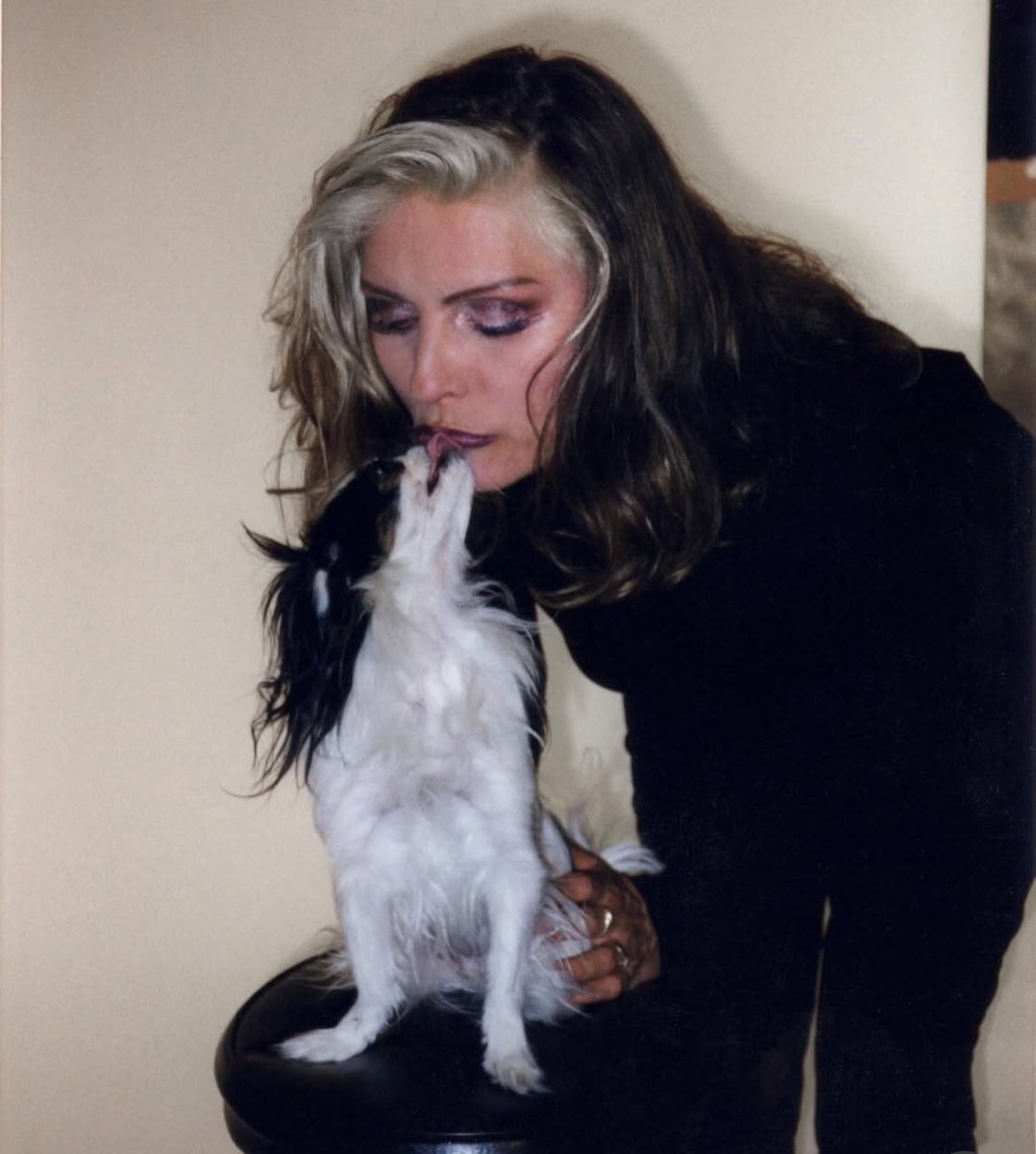 Deborah Ann Harry tweet media