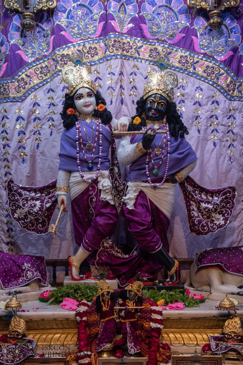 theholy_monk's tweet image. Today's Mangal Arati Darshan 
ISKCON Vrindavan Temple 
Date: 15 Feb 2026 Sunday 

Radha Shyam Sundar ✨🥀🌷🍎
Krishna Balaram 🪻🙏🏻🌻🥥🌼
Nitai Gaurang 🎉🌷🥀🌿🪔
#iskcon #vrindavan #krishna