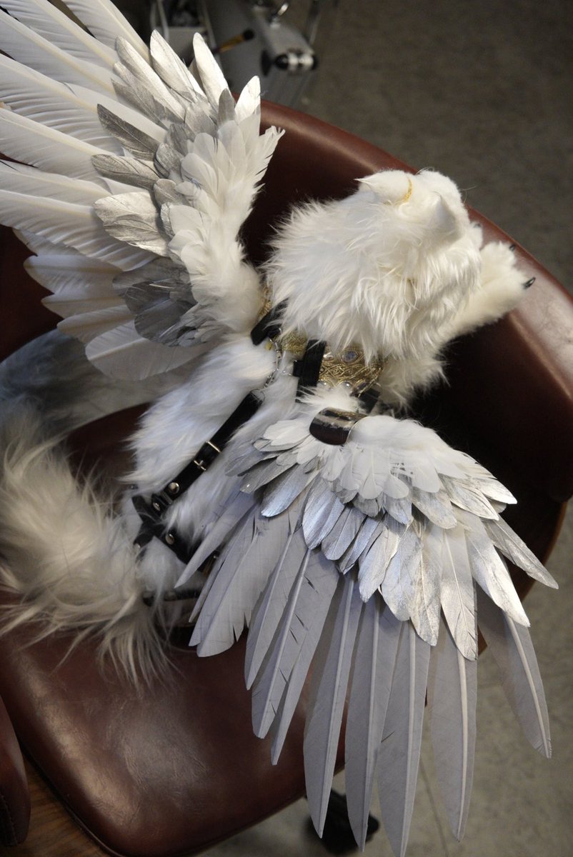 CAVALISA/アートドール作家 (@to_aves) / Posts / X