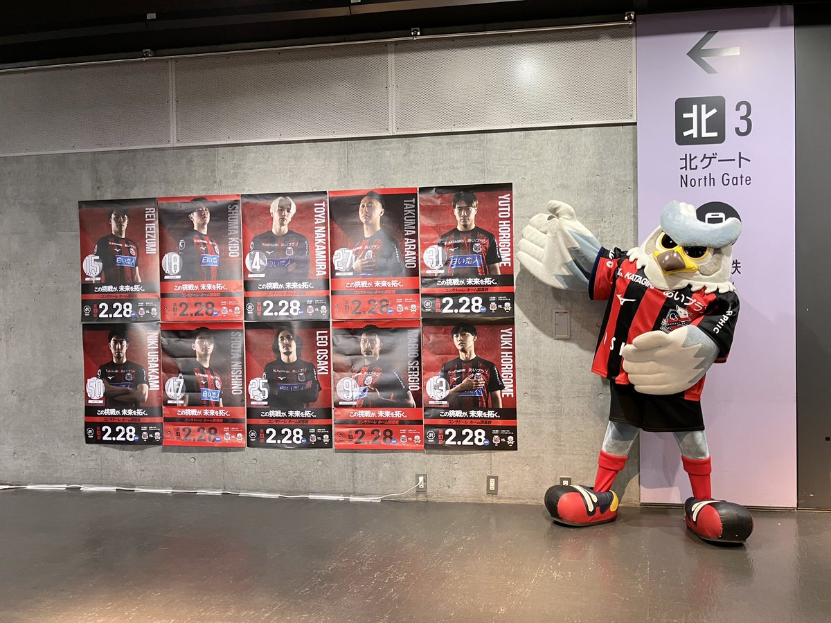 ドーレくん☆ tweet media