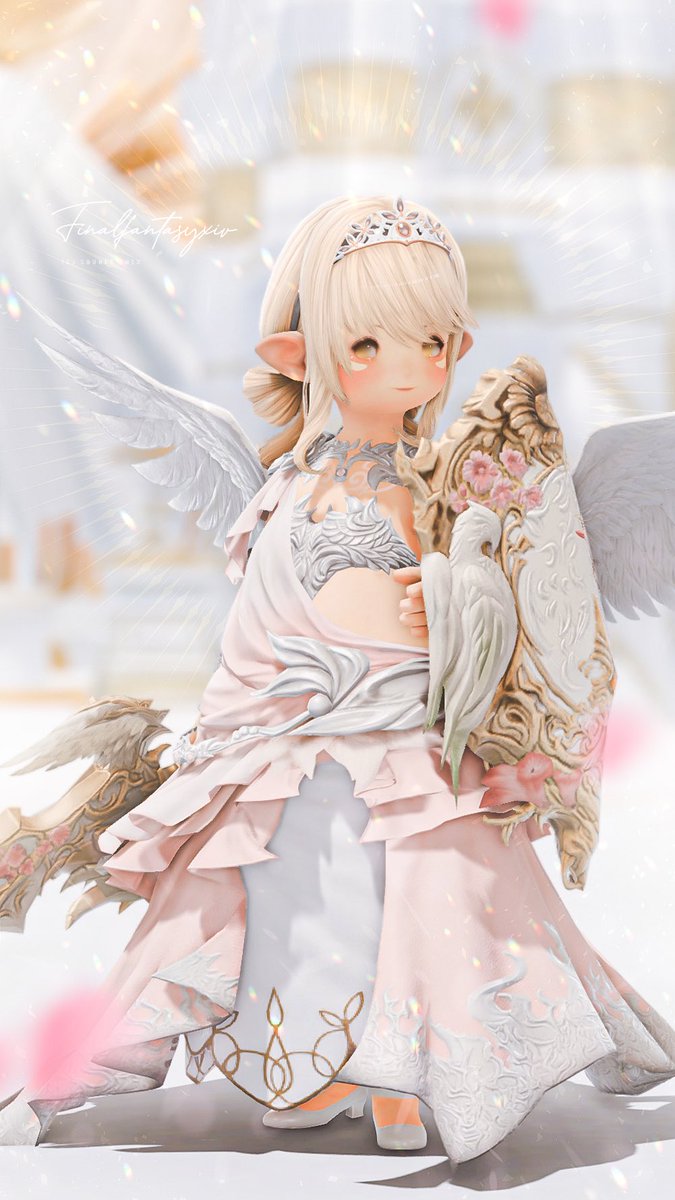 この剣盾に合うミラプリを考えた結果
立派な姫になりました