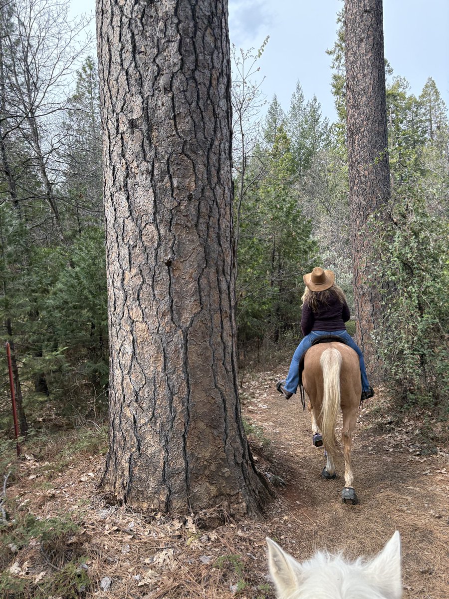 Our annual Valentine’s Day horseback right!!! Great ride today!!!