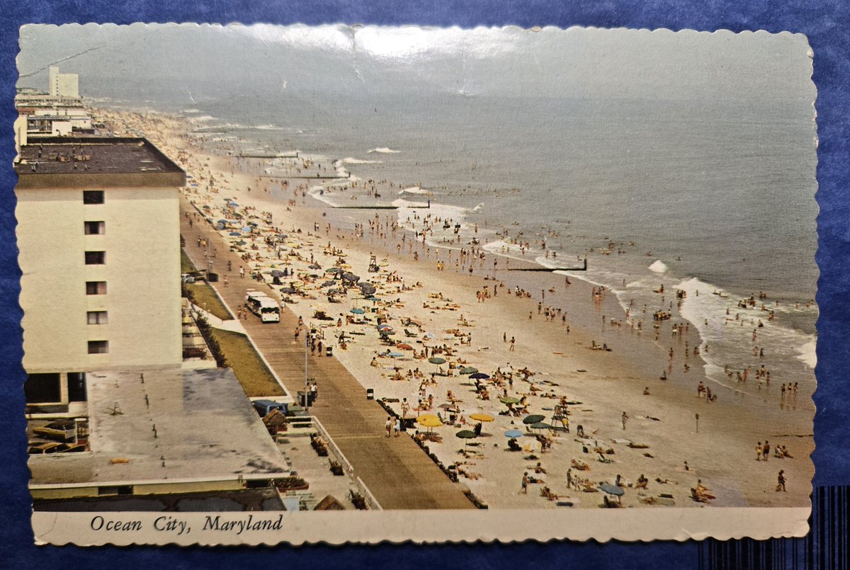OCMD IN POSTCARDS tweet media
