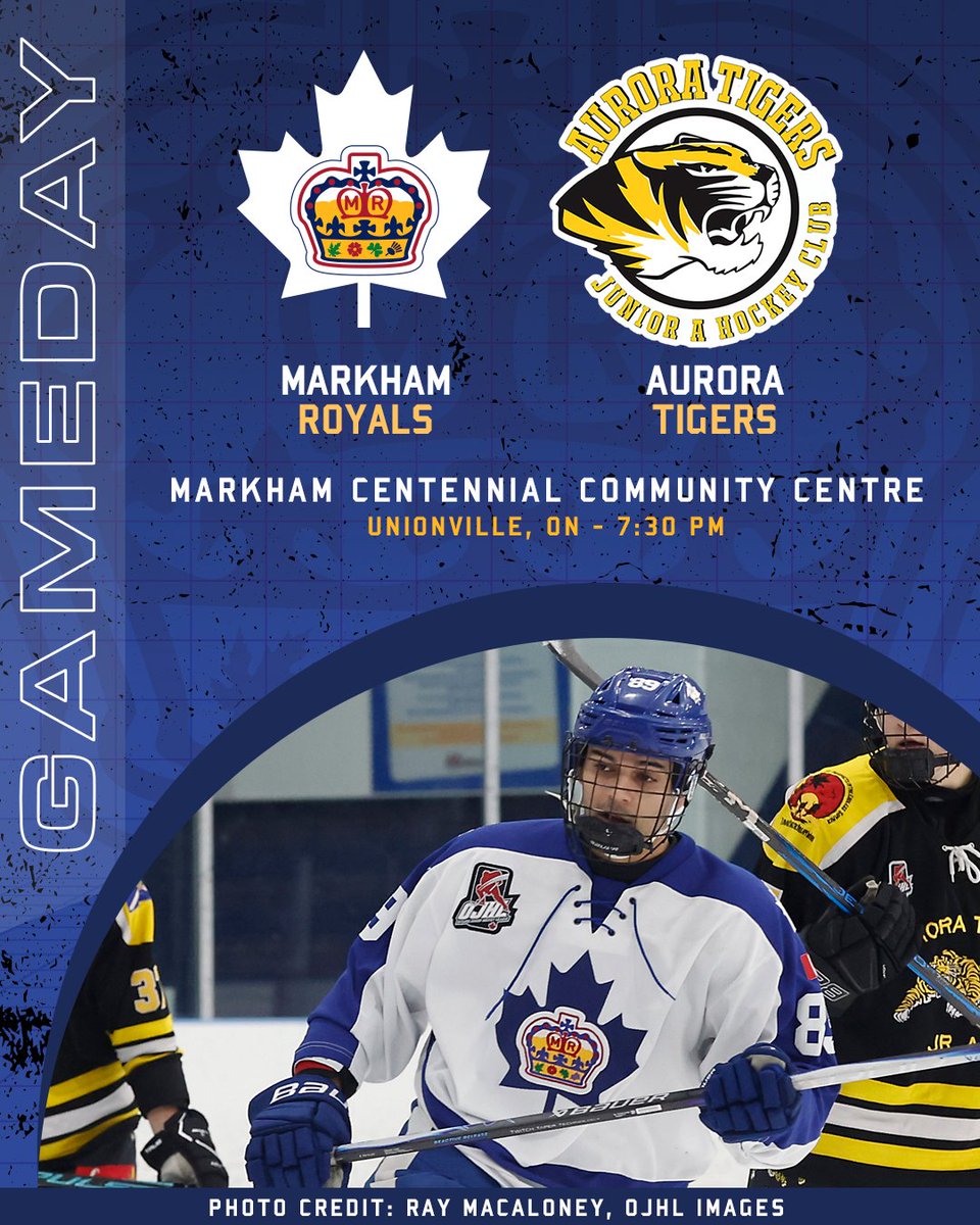 Markham Royals tweet media