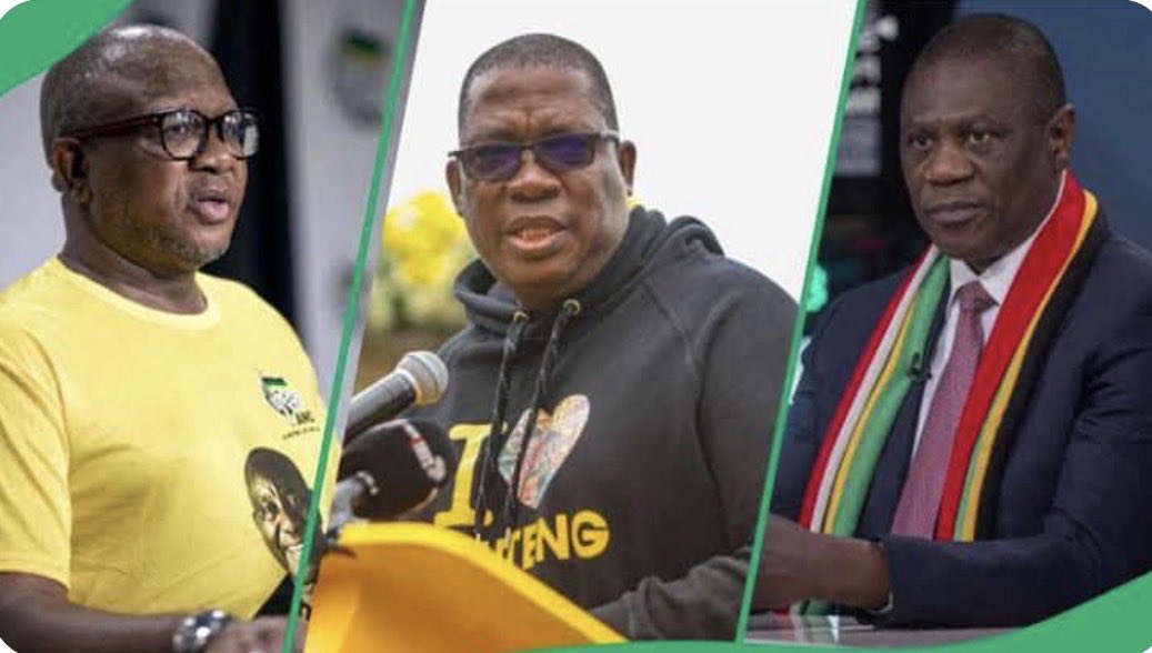 One of them may lead the ANC after Cyril Ramaphosa, but none of them will be South Africa’s president 🇿🇦 after the general elections 🗳️.